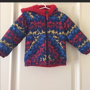 Patagonia Winter Coat